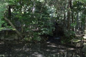 天授庵の池
