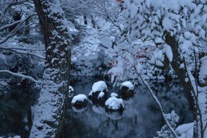 2017　雪の京都　円山公園