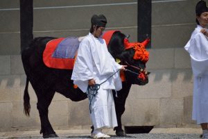 葵祭・替牛
