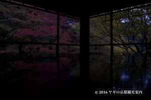 瑠璃光院の紅葉2017