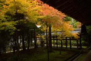 龍安寺の紅葉2016