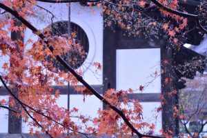 東福寺の紅葉2016