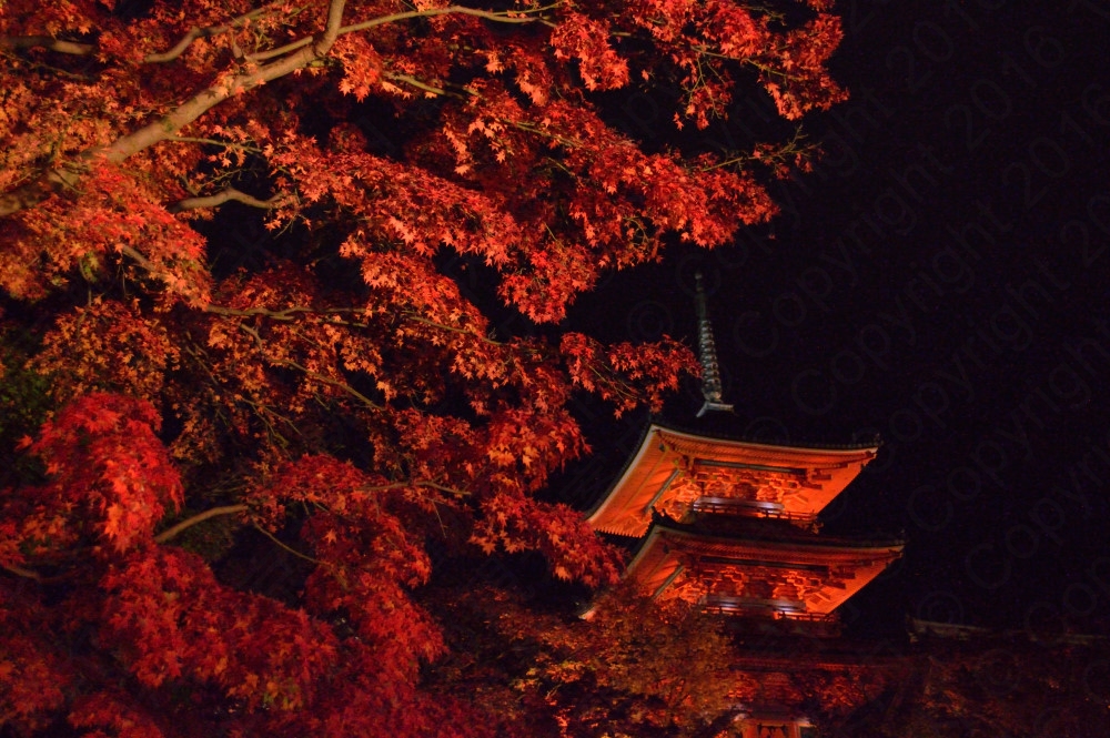 清水寺の紅葉2016