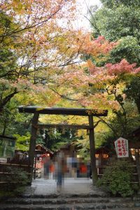 野宮神社の紅葉2016