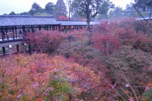 東福寺の紅葉2016