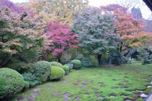 東福寺の紅葉2016