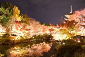 東寺の紅葉2016