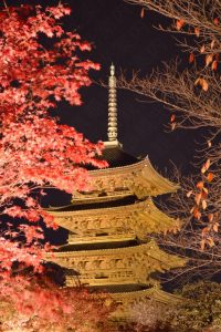 東寺の紅葉2016