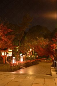 八坂神社の紅葉　2016　午前中
