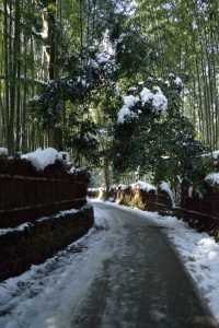 2017　雪の京都　嵐山の竹林