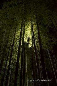 高台寺の竹林