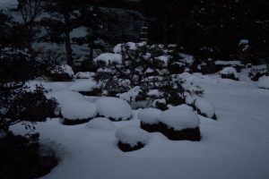 【2017】　京都の雪景色　曼殊院