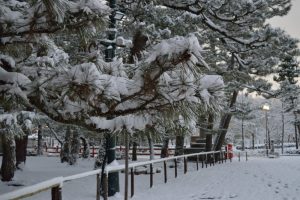 2017　雪の京都　平安神宮