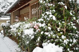 2017　雪の京都　ねねの道
