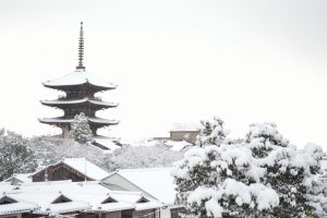 【2017】　京都の雪景色　八坂の塔