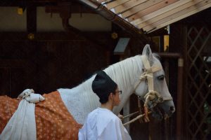 Hakuba soran shinji