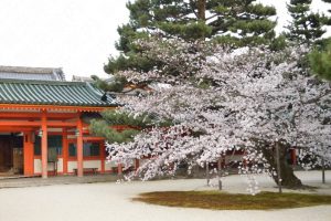平安神宮の桜2016