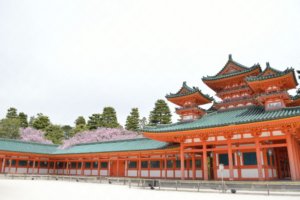 平安神宮のしだれ桜