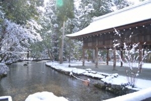 kamigomo shrine in snow