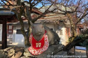 北野天満宮梅苑開花状況2025年2月15日