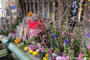 北野天満宮梅苑開花状況2025年2月22日