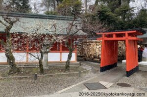 北野天満宮梅苑開花状況2025年3月2日