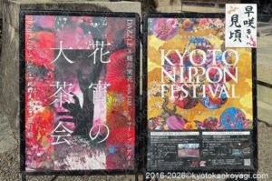 北野天満宮梅苑開花状況2026年2月