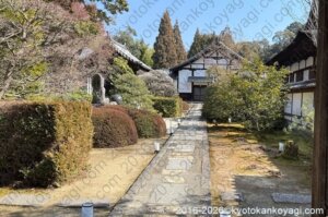 河津桜開花状況2026年2月
