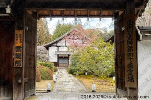 河津桜開花状況2026年2月28日