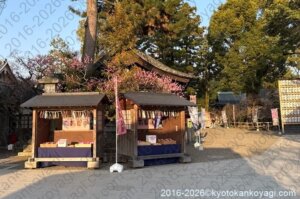 北野天満宮梅苑開花状況2026年3月22日