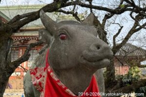 北野天満宮梅苑開花状況2026年3月29日
