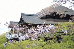 清水寺本堂と桜