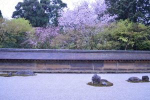 龍安寺の桜2017