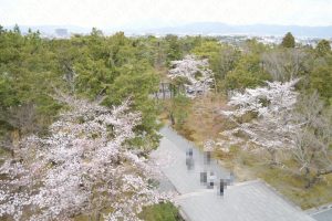 南禅寺の桜2017