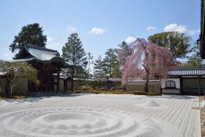 高台寺のしだれ桜2017