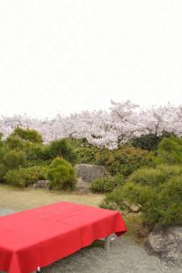 大河内山荘の桜2017