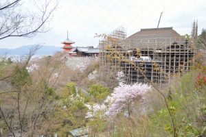 清水寺の桜2017