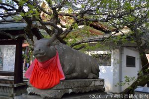 北野天満宮のウシさん