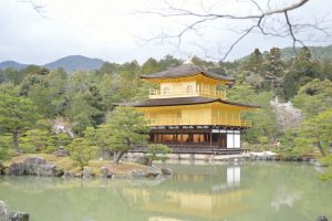 金閣寺の桜2017
