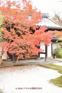 天授庵本坊東庭園