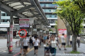 京都混雑状況2026年8月