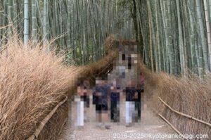 京都市バス混雑状況2025年8月