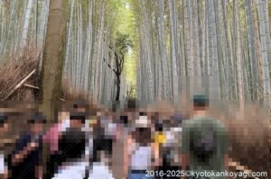 京都市バス混雑状況2025年9月