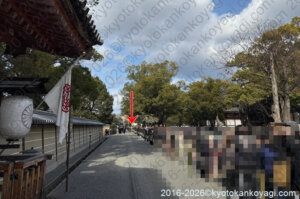 京都市バス混雑状況2026年1月