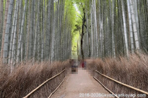 京都市バス混雑状況2026年6月