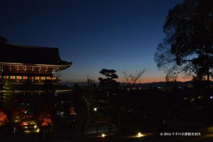 金戒光明寺の紅葉　夕暮れ