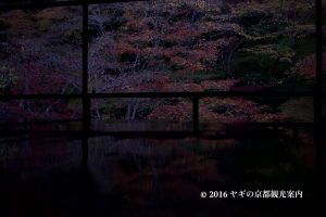 瑠璃光院の紅葉2017