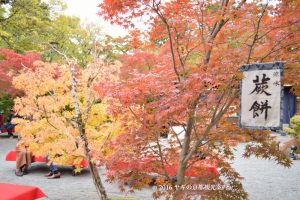 永観堂の紅葉