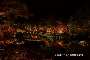 永観堂の紅葉ライトアップ2017