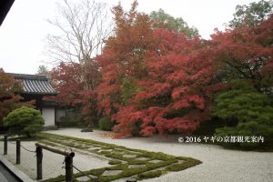 天授庵枯山水庭園の紅葉